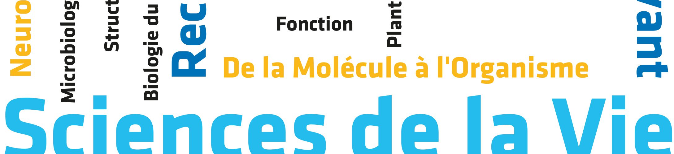 SVT_illustration_nuage-de-mots