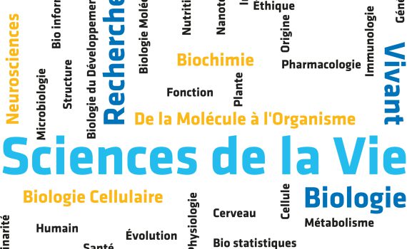 SVT_illustration_nuage-de-mots